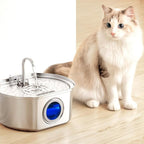 Stainless Steel Cat Water Fountain – 2.6 qt, Quiet Pump – Image 4