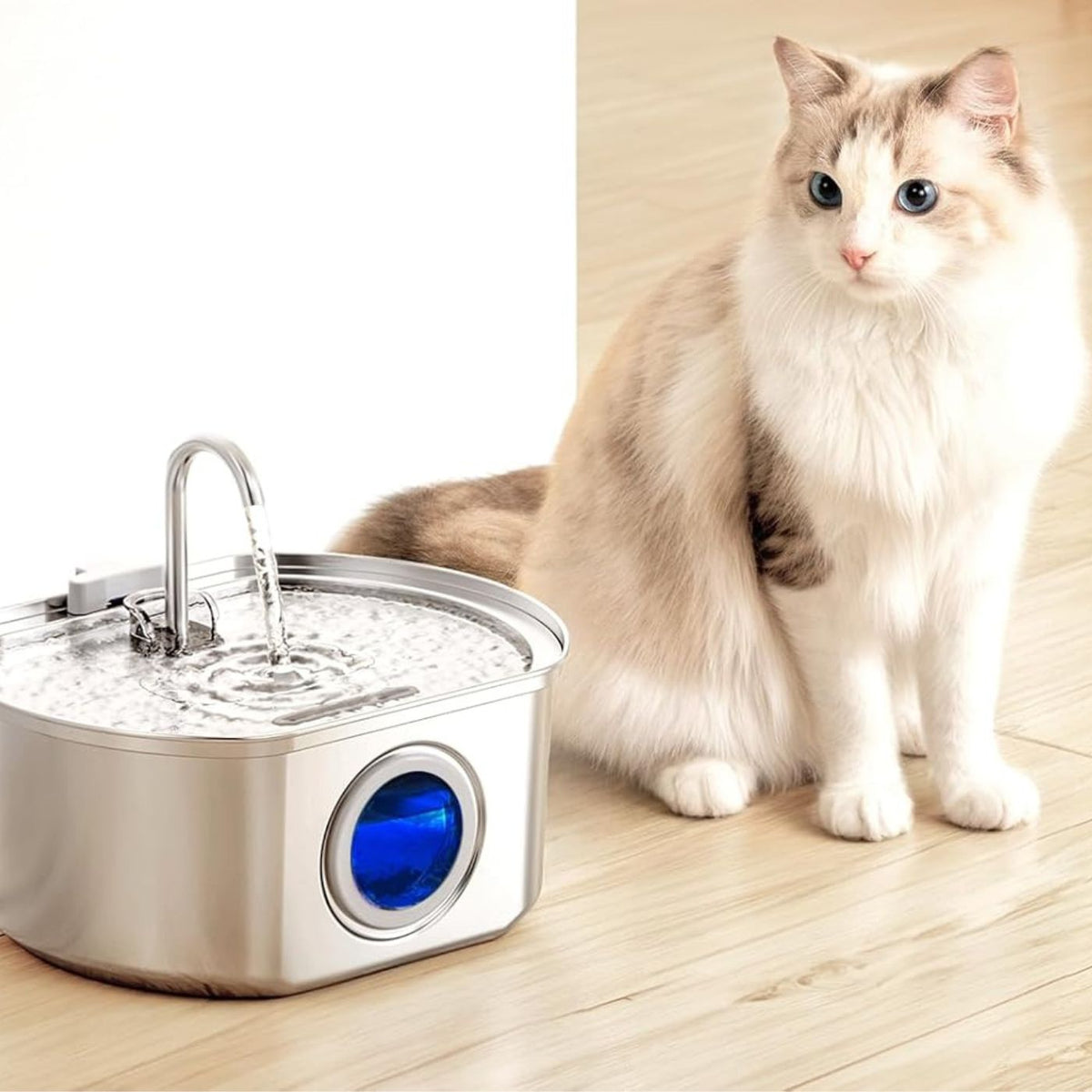 Trinkbrunnen für Katzen aus Edelstahl – zweieinhalb Liter, leise – Bild 4