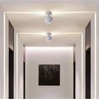 360° Beam Wall and Ceiling Light