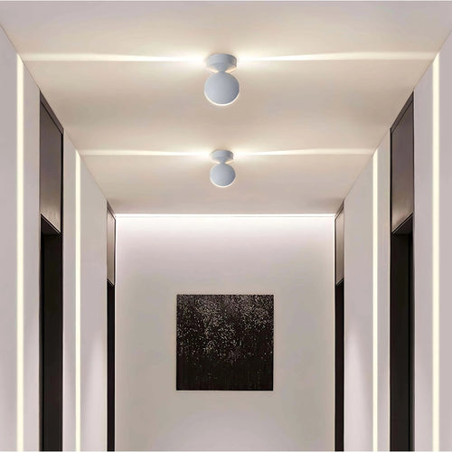 360° Beam Wall and Ceiling Light