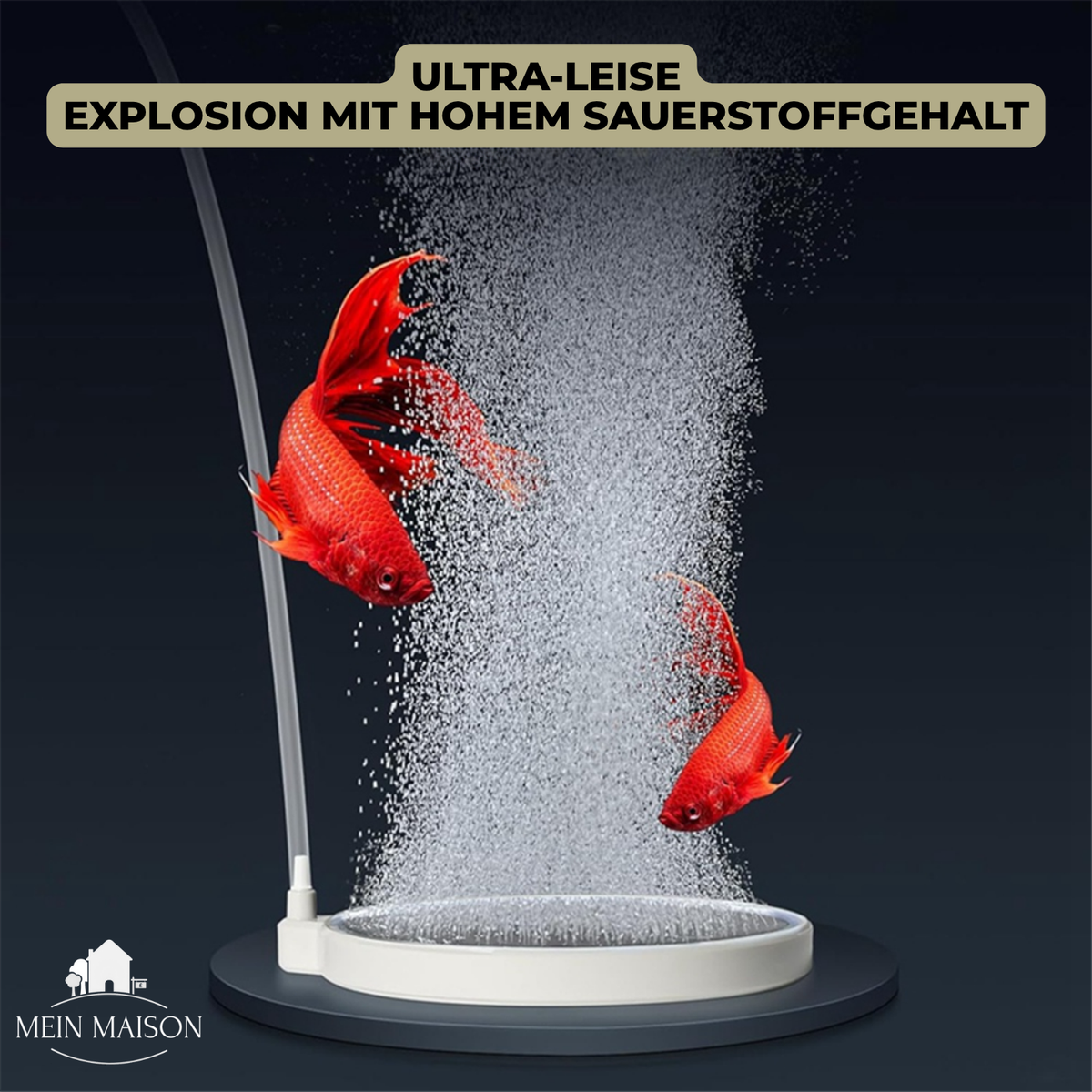 Ausströmerstein fürs Aquarium – feine Blasen, leiser Betrieb – Bild 6