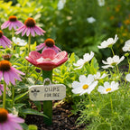 Bee and Butterfly Waterer Made of Weatherproof Resin – Shallow Dish Insects Can Stand In – Image 2