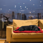 Foldable Waterproof Dog Mat – Rolls Up to Take Along – Image 4