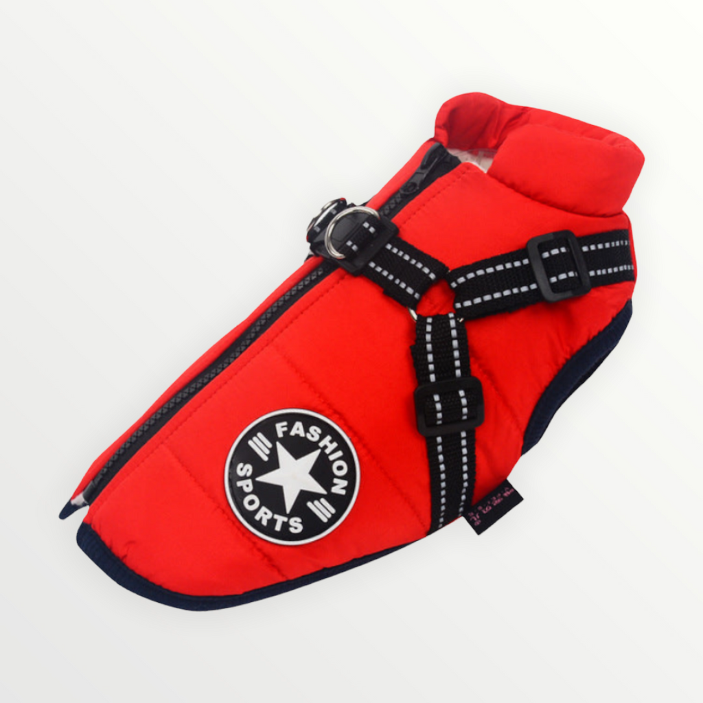 Hundejacke mit eingearbeitetem Geschirr – wind- und wasserabweisend – Bild 1