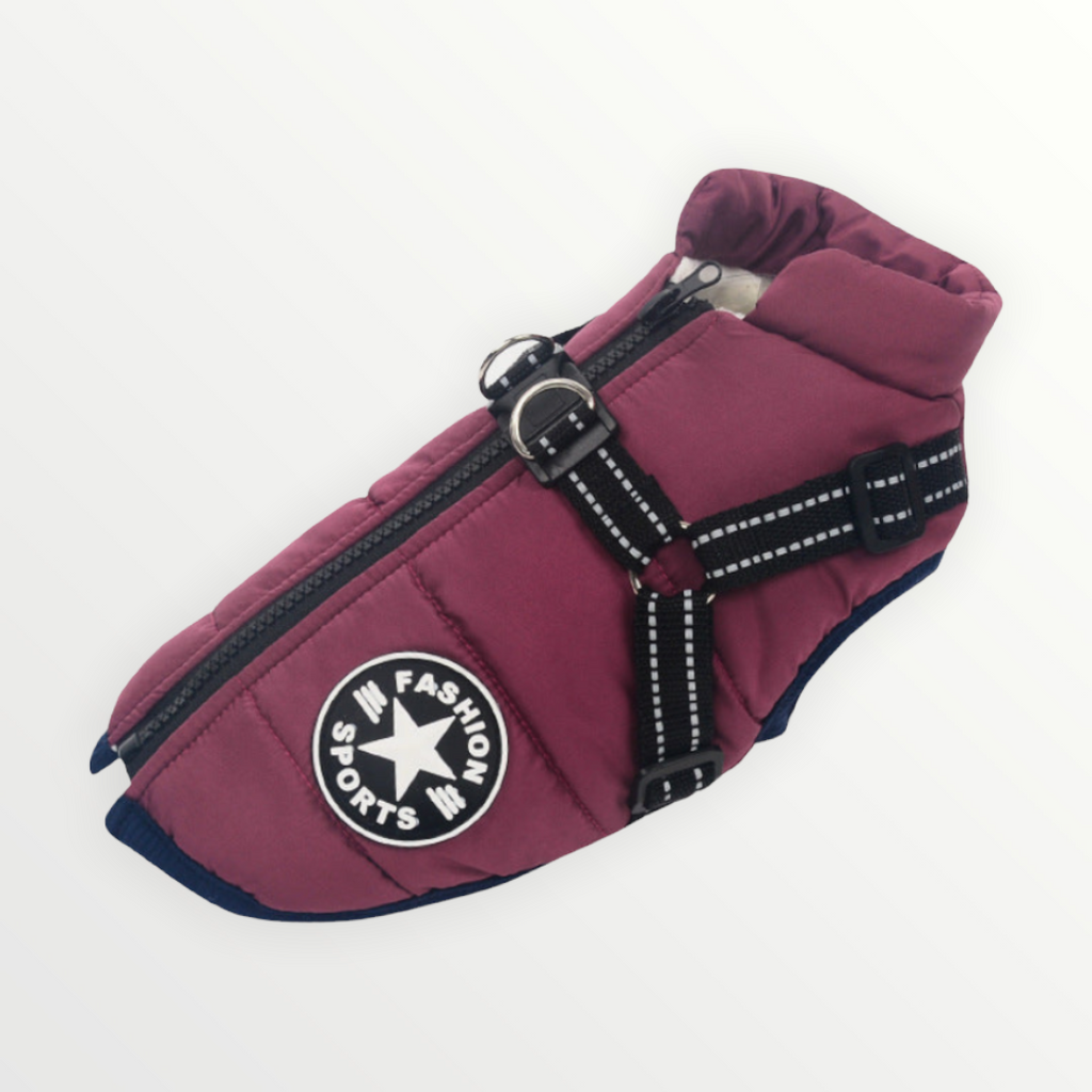 Hundejacke mit eingearbeitetem Geschirr – wind- und wasserabweisend – Bild 9