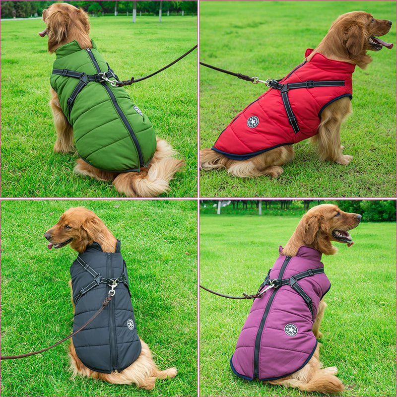 Hundejacke mit eingearbeitetem Geschirr – wind- und wasserabweisend – Bild 2