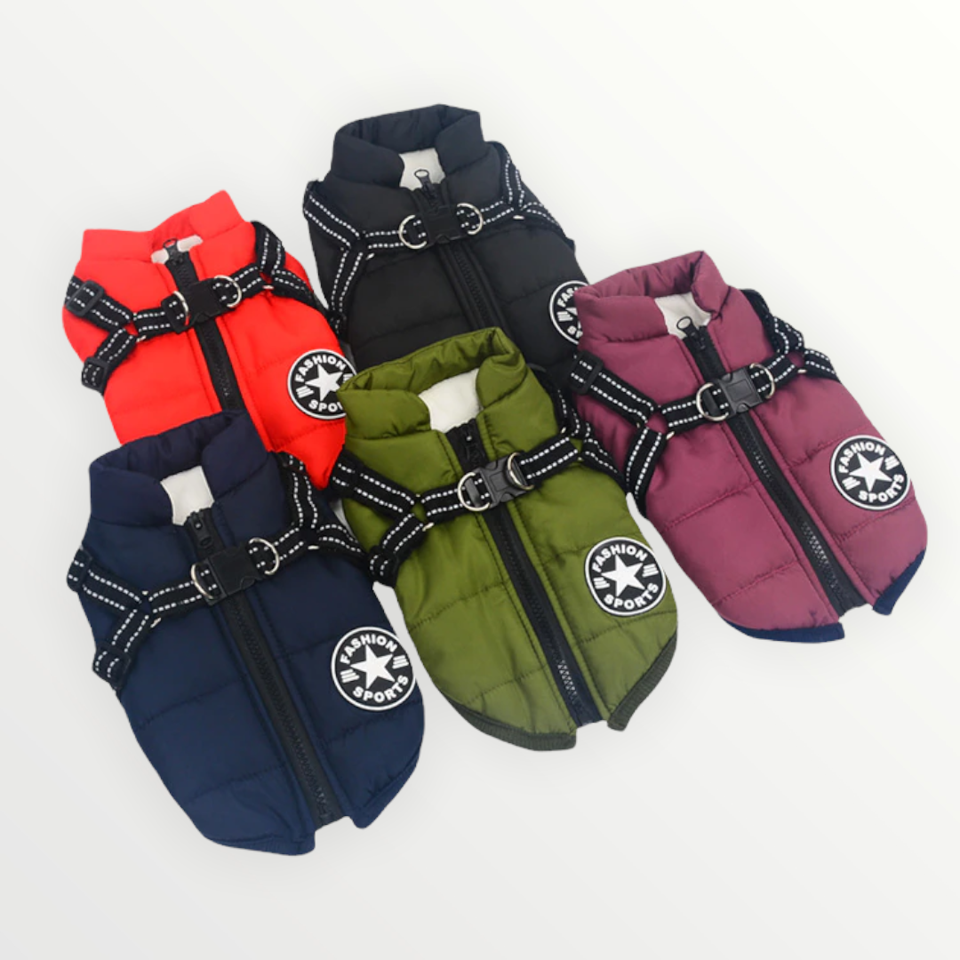 Hundejacke mit eingearbeitetem Geschirr – wind- und wasserabweisend – Bild 3