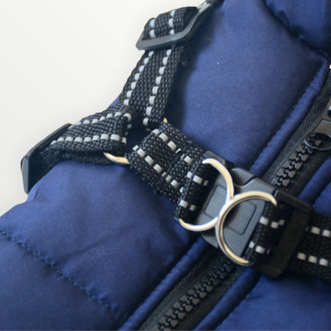 Hundejacke mit eingearbeitetem Geschirr – wind- und wasserabweisend – Bild 5
