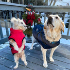 Dog Jacket with Built-In Harness – Wind- and Water-Repellent – Image 7
