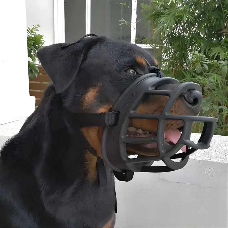 Maulkorb aus Silikon – der Hund kann hecheln und trinken – Bild 4