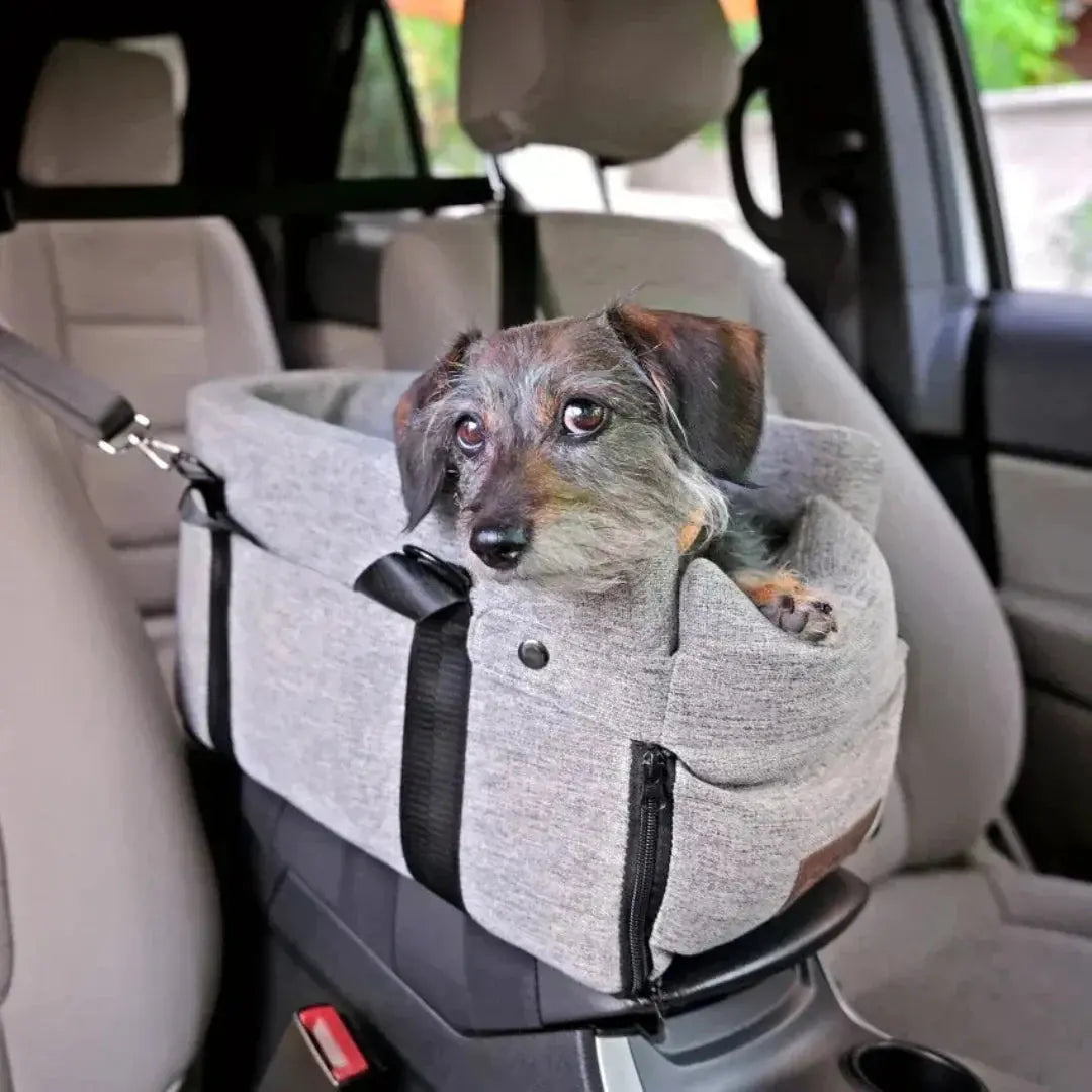 Autositz für kleine Hunde – erhöht, mit Gurten am Sitz befestigt – Bild 4