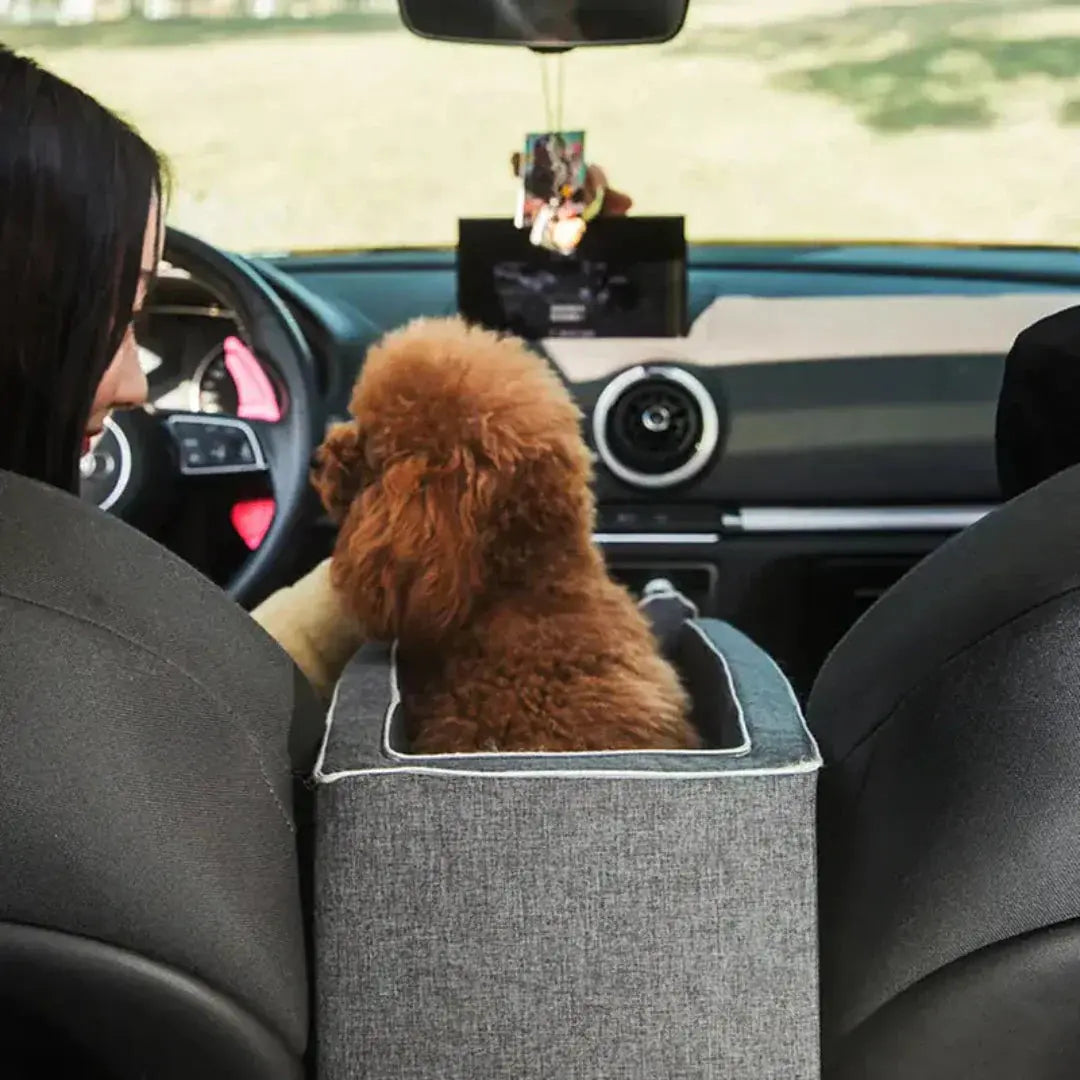 Autositz für kleine Hunde – erhöht, mit Gurten am Sitz befestigt – Bild 2