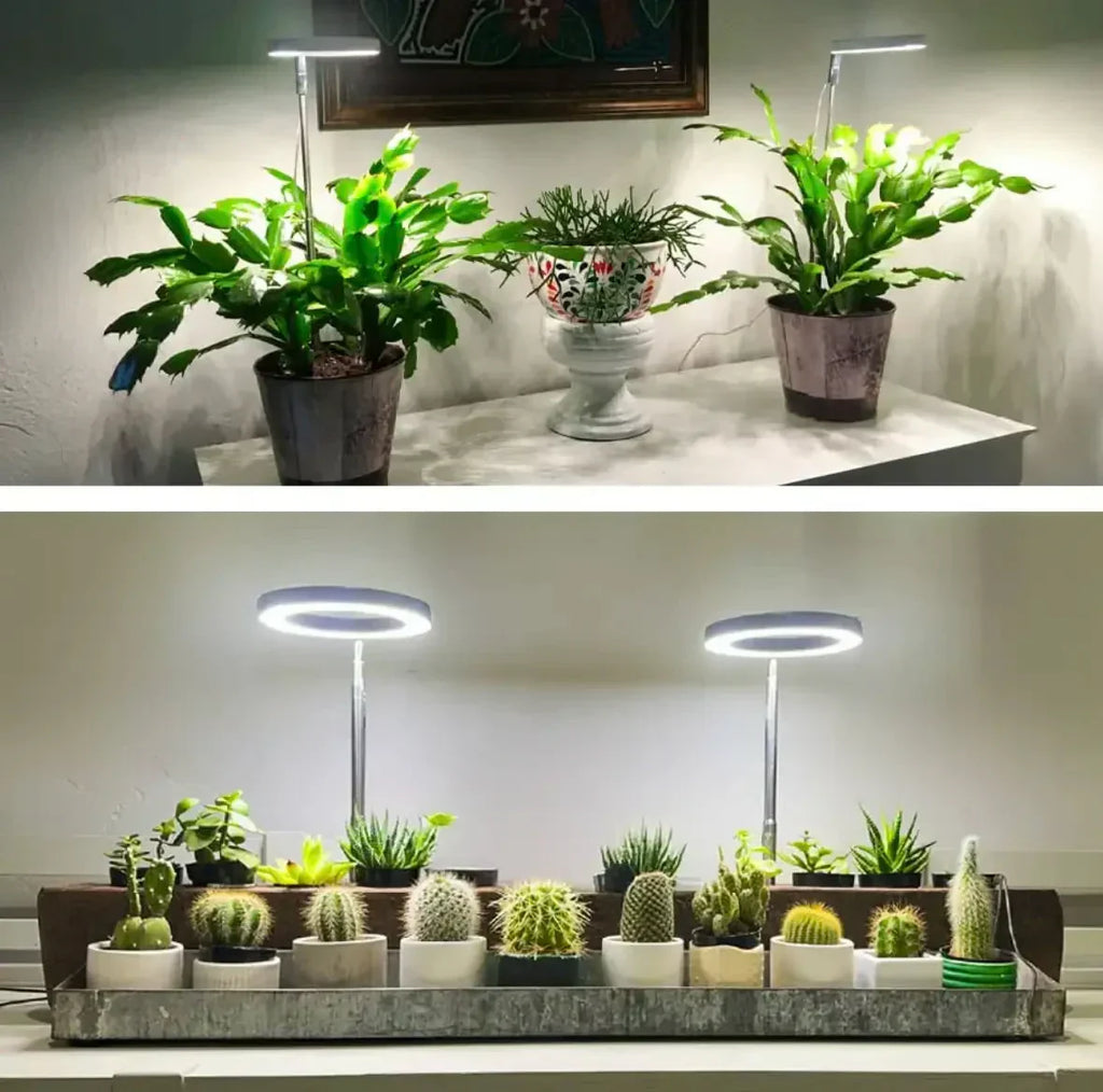 Pflanzenlampe mit Vollspektrum-LED – Timer für drei, sechs oder zwölf Stunden – Bild 4