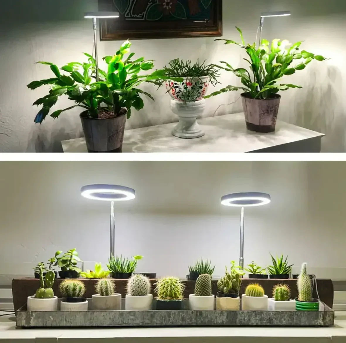 Pflanzenlampe mit Vollspektrum-LED – Timer für drei, sechs oder zwölf Stunden – Bild 4