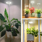 Full-Spectrum LED Grow Light – Timer Switches Off After 3, 6 or 12 Hours – Image 3