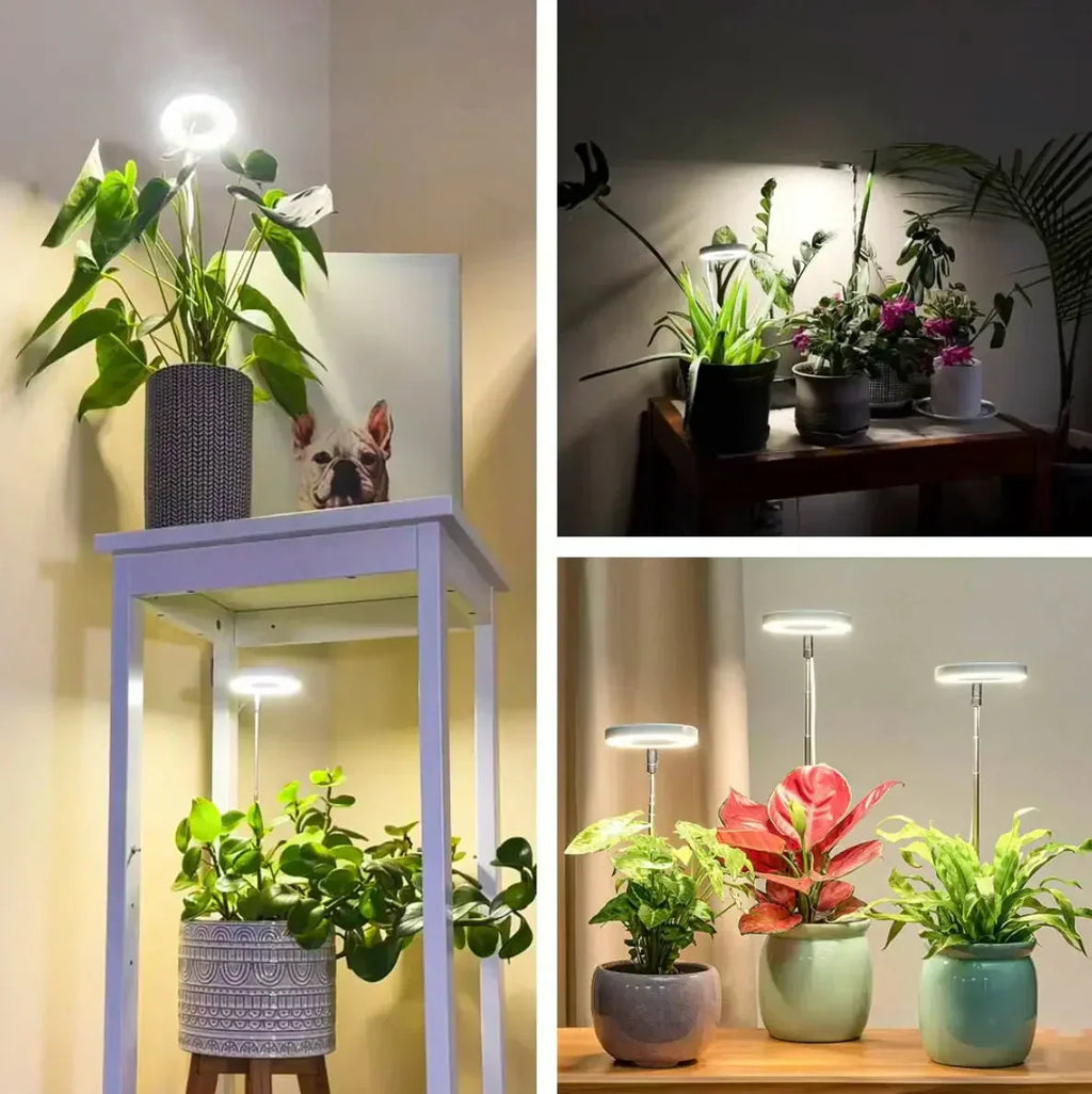 Pflanzenlampe mit Vollspektrum-LED – Timer für drei, sechs oder zwölf Stunden – Bild 5