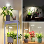 Full-Spectrum LED Grow Light – Timer Switches Off After 3, 6 or 12 Hours – Image 5