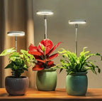 Full-Spectrum LED Grow Light – Timer Switches Off After 3, 6 or 12 Hours – Image 2