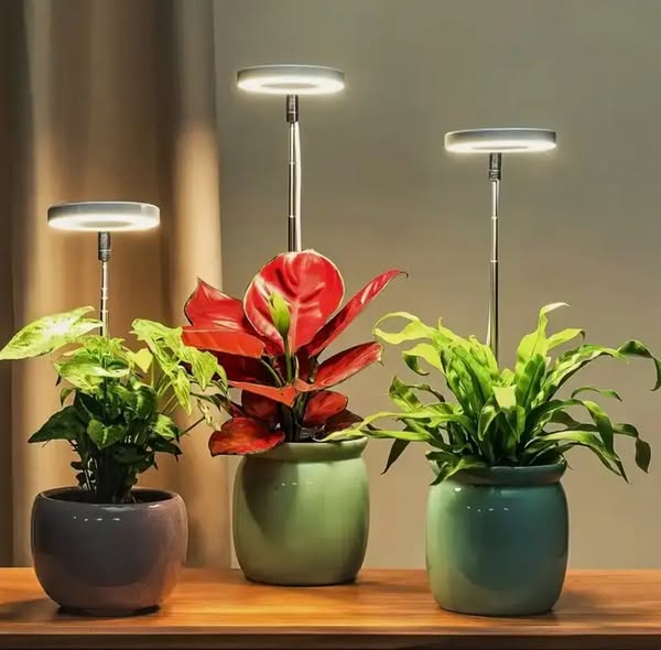 Pflanzenlampe mit Vollspektrum-LED – Timer für drei, sechs oder zwölf Stunden – Bild 2