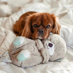 Heartbeat Plush Toy for Dogs and Cats – Removable Module, Washable Plush – Image 4