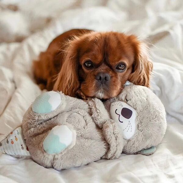 Kuscheltier für Hund und Katze mit Herzschlag – Modul herausnehmbar – Bild 4
