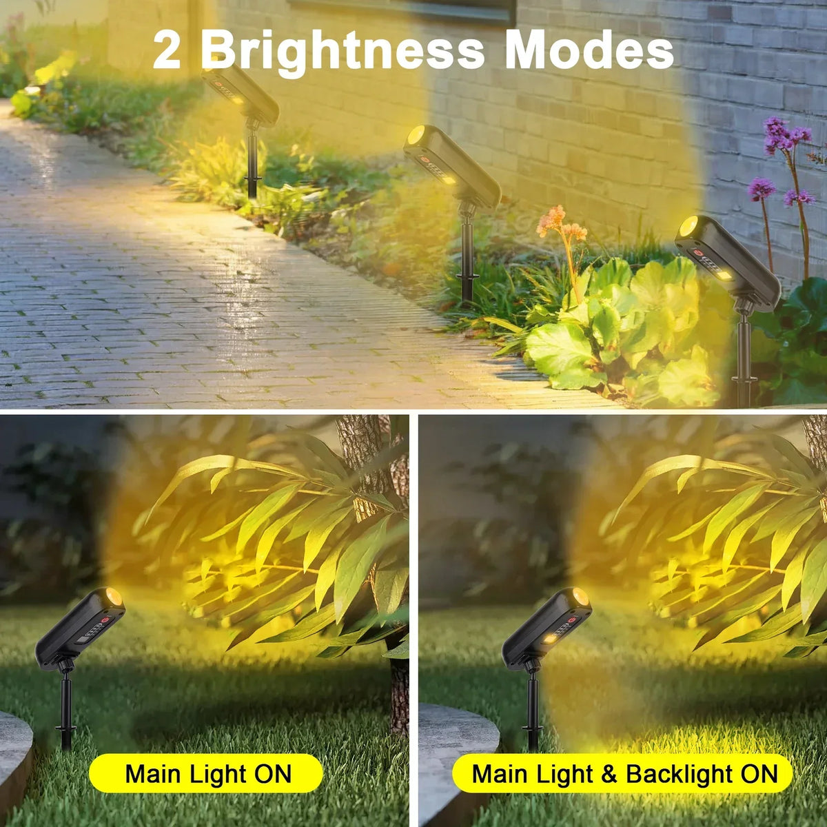 Solar-Gartenstrahler zum Einstecken – strahlt Bäume und Wände an – Bild 3
