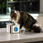 Stainless Steel Cat Water Fountain – 2.6 qt, Quiet Pump – Image 2