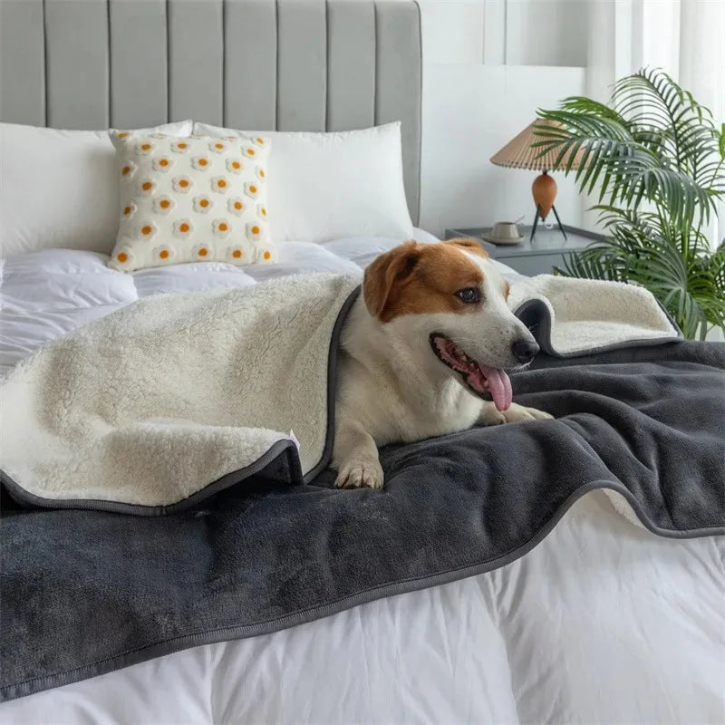 Haustierdecke mit wasserdichter Zwischenschicht – für Sofa und Bett – Bild 3