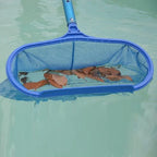 Pool and Pond Skimmer Net – Available with Telescoping Pole – Image 1