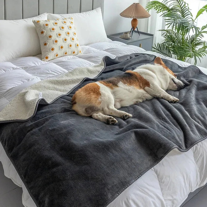 Haustierdecke mit wasserdichter Zwischenschicht – für Sofa und Bett – Bild 2