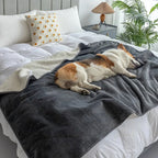 Waterproof Pet Blanket for Couch and Bed – Soft on Top, Sealed in the Middle – Image 2