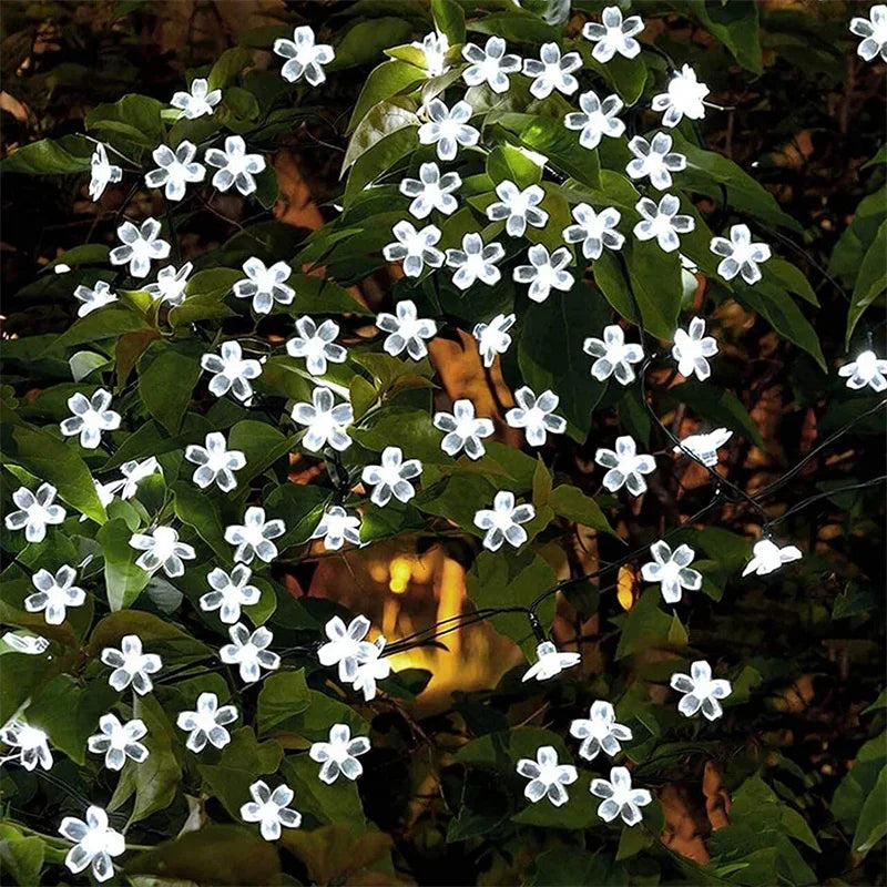 Solar-Lichterkette mit Kugellämpchen – vier Längen, sechs Farben – Bild 5