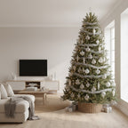 Clear Christmas Ball Ornaments, Set of 9