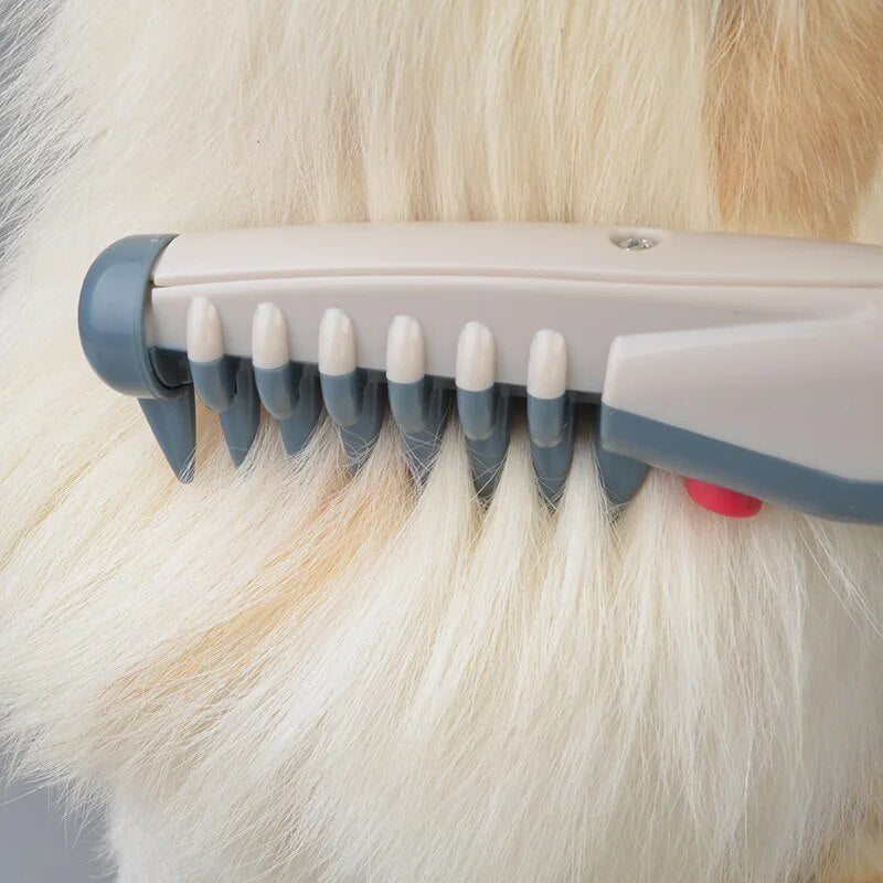 Schermaschine für Hund und Katze – leise, mit Edelstahlköpfen – Bild 2