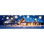 Dual-Head Snowfall Projector
