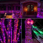 Green Wire String Lights with Remote
