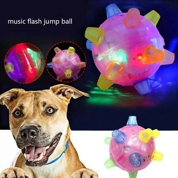 Jumping Activation Ball for Dogs – Interactive Bouncing Toy