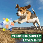 Jumping Activation Ball for Dogs – Interactive Bouncing Toy