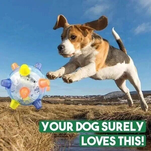 Jumping Activation Ball for Dogs – Interactive Bouncing Toy