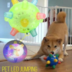 Jumping Activation Ball for Dogs – Interactive Bouncing Toy