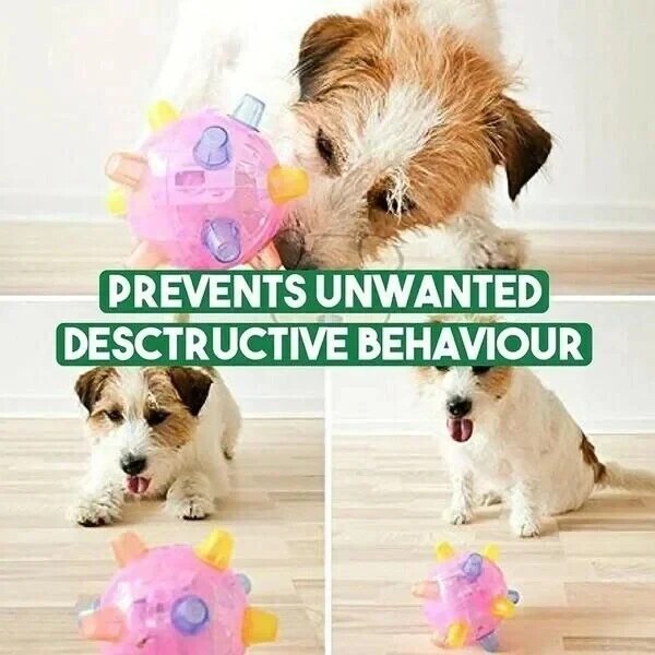 Jumping Activation Ball for Dogs – Interactive Bouncing Toy