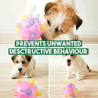 Jumping Activation Ball for Dogs – Interactive Bouncing Toy