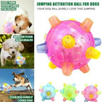 Jumping Activation Ball for Dogs – Interactive Bouncing Toy