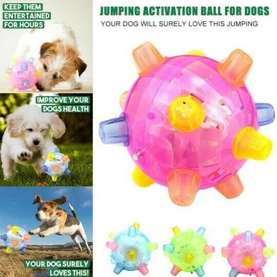 Jumping Activation Ball for Dogs – Interactive Bouncing Toy