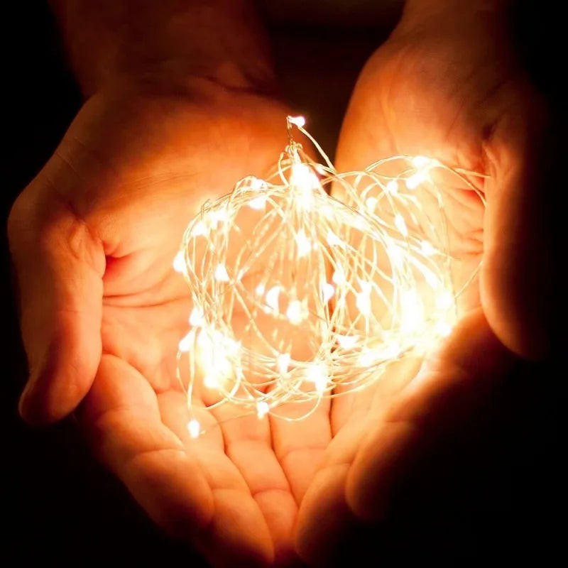 Micro LED Fairy Lights on Bendable Wire