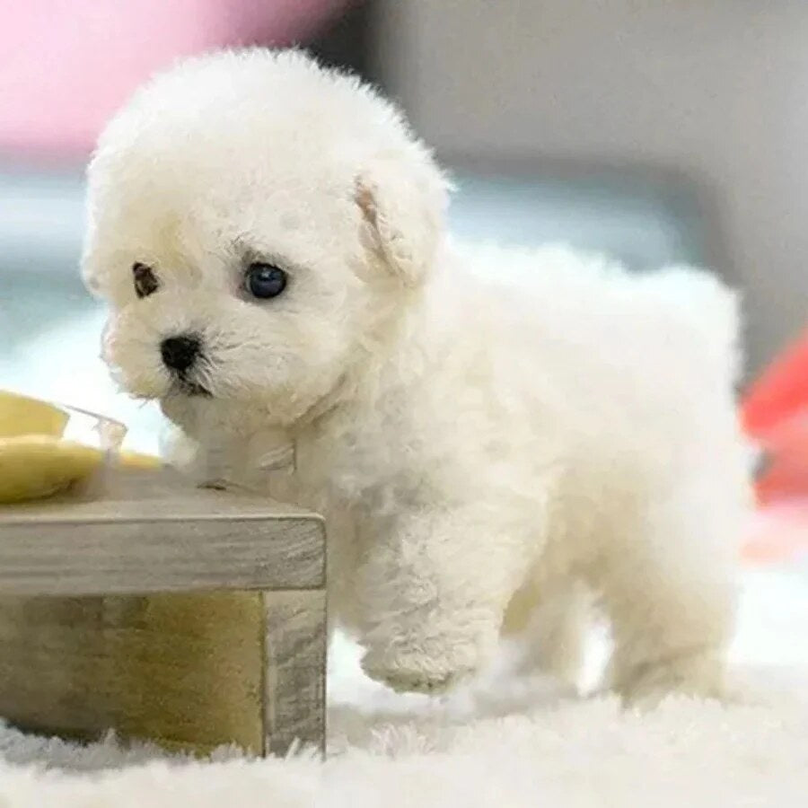 Robotic Puppy – Interactive Pet Toy with Voice Control